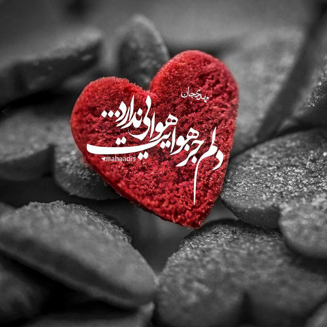 دلم جز هوایت هوایی ندارد